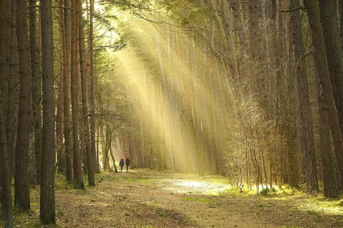 نصائح ذهبية لعام 2021 || خلاصة تجارب أفضّل الكُتّاب وأصحاب الأعمال